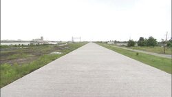 A levee wall bisects a field of grass. Stock Footage
