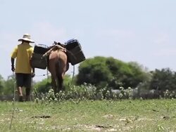 WS TS View of Man going to collect water from shafts / Pilao Arcado, Bahia, Brazil Stock Footage