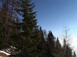 HD: Beauty in nature Stock Footage