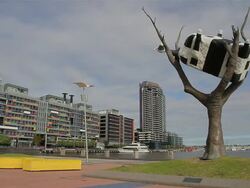 WS Man passing near Strange cow in tree sculpture at Docklands / Melbourne, Victoria, Australia Stock Footage