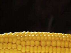 Hot Corn Stock Footage
