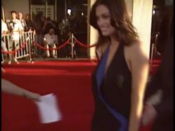 'Catwoman' Premiere Stock Footage