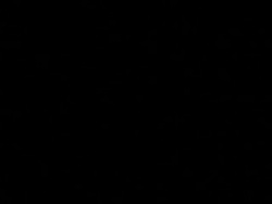 US president makes statement after meeting both Isr and Pal leaders News Clip