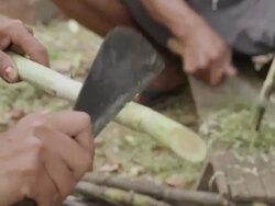 CU TS TU Woman removing sking and end part of sugarcane / Vang Vieng, Vientiane, Laos Stock Footage