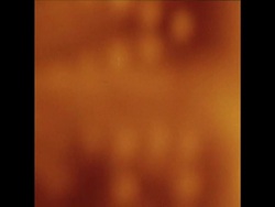 LIB 5-12-71 POPE APPEALS FOR PEACE IN HIS WEEKLY STATEMENT News Clip