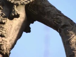 CU TS TU Shot of statue outside Plaza de Toros / Marid, Spain Stock Footage
