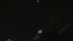 A pedestrian points at fireworks that sparkle overhead. Stock Footage