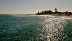 American beach Stock Footage