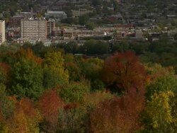Tilt Up from Trees To Olympic Stadium Stock Footage