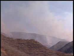 Forestry Fire Expert News Clip