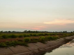 Irrigation System. Stock Footage