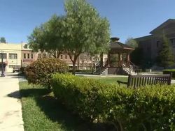 'Back To The Future' Set - Universal Studios News Clip