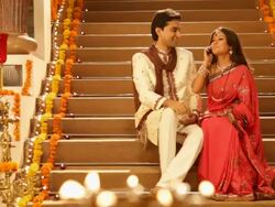 Couple talking on a mobile phone  Stock Footage