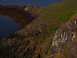 Puffins fly over a boat on a lake near the ocean. Stock Footage