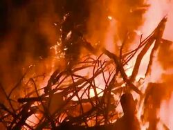 HD: Burning wood Stock Footage