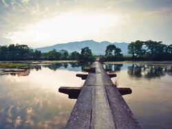 Li river at dusk Stock Footage