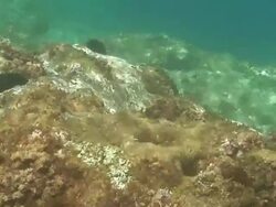 Underwater view Stock Footage