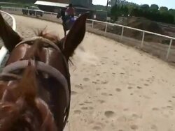 POV hand-held push-in - Horses race around a dirt track. / California, USA Stock Footage