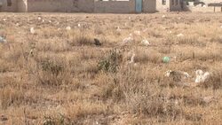 Focus on Yemen during UN's World Day to Combat Desertification News Clip