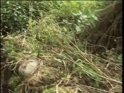 Family tries to rebuild their lives one year after devastating quake News Clip