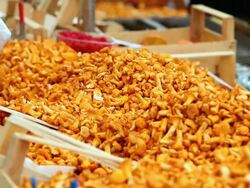 CU Sell of chanterelles on open market Stock Footage