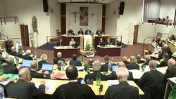 CLEAN : French Catholic Church pleads for forgiveness from abuse victims News Clip