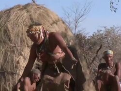 Ju hoansi San Bushwomen of Nyae Nyae, traditional dancing, Namibia Stock Footage