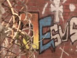 Graffiti of \Jesus\  (Dolly ) - HD & PAL Stock Footage