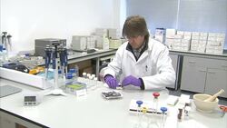 Esthechoc - Anti-Ageing Chocolate Stock Shots News Clip