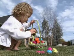 Easter Eggs Stock Footage