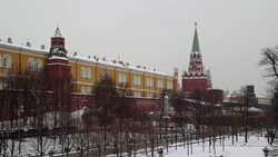 The Kremlin's battle of the birds Instructional Video