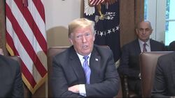 Trump Threatens EU With Tariffs on Vehicles Instructional Video