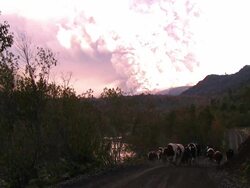 SANTIAGO DE CHILE, CHILE - JUNE 13th:  The Puyehue volcano in south-central Chile, belching an ash cloud more than six miles high over the Andes and into many cities in Argentina (Footage by Ivan Konar/Latincontent/Getty Images) Stock Footage