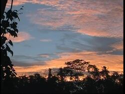 Volcanic activity increases threefold since the quake, lava flows News Clip