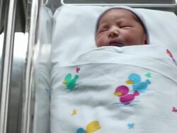 Newborn babies in a row in nursery Stock Footage