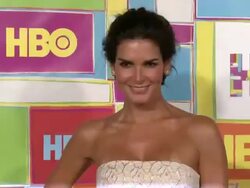 Angie Harmon at HBO's Official 2014 Emmy After Party Stock Footage