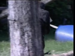 Aladdin the gorilla celebrates 6th bday News Clip