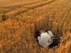 HD CRANE: Romance In A Wheat Field Stock Footage