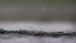 Droplets rise as rainwater hits a puddle. Stock Footage