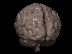 Human brain Stock Footage