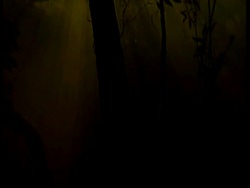 MS Underwater view of flooded forest, tilt up from dark depths to sunlight at surface, South America Stock Footage