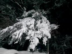 HD Super Slow-Mo: Backcountry Skier Spraying Snow At Camera Stock Footage