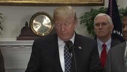 Trump Signs Proclamation Honoring MLK Day News Clip