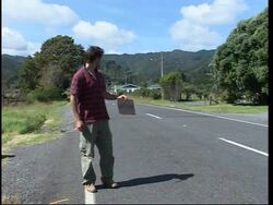 Text messaging service to improve the safety of hitchhikers News Clip