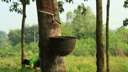 Tapping Stock Footage