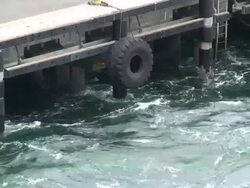 Seattle Dock Stock Footage