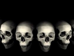 Halloween Skulls- Loop Stock Footage