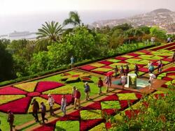 Botanical Gardens Stock Footage