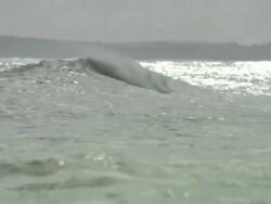 Medium Long Shot pan-right - Waves roll toward shore. / Tunisia Stock Footage
