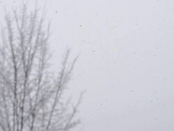 Snowing Slow Stock Footage